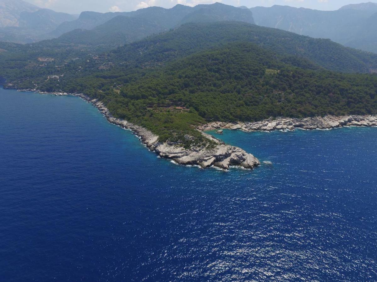 Rocas Roja Beach Hotel Faralya Esterno foto